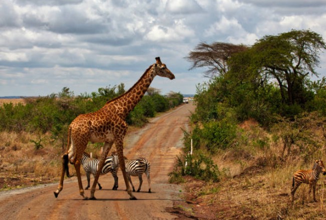 Tsavo-West-Nationalpark